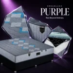 تشک دریم لند مدل پرپل (Purple)