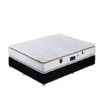 تشک دریم لند مدل ارتوپلاس (Orthoplus) - Image 6