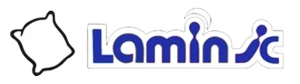 تشک لامینیک